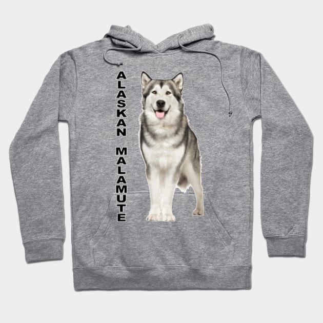 Alaskan Malamute Hoodie by Vladimir Zevenckih